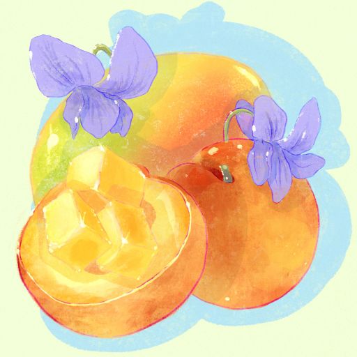 Gesha - Natural - Finca Mi Finquita, Los Pozos Arriba