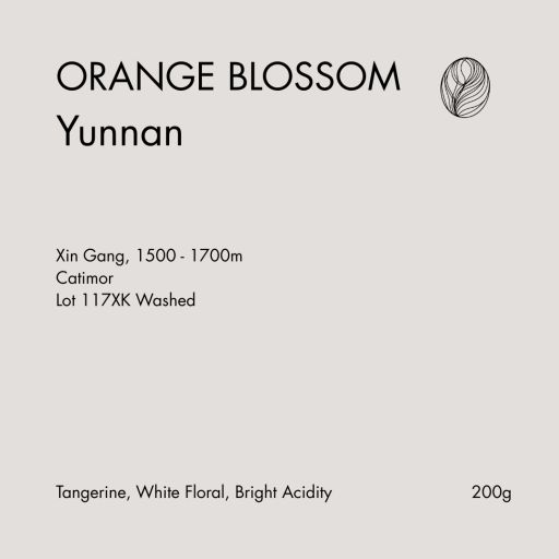Orange Blossom Yunnan Xingang