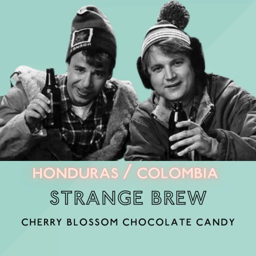 Strange Brew (Washed/Anaerobic): Light Roast