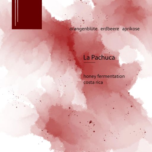La Pachuca - Costa Rica - Honey Fermentation