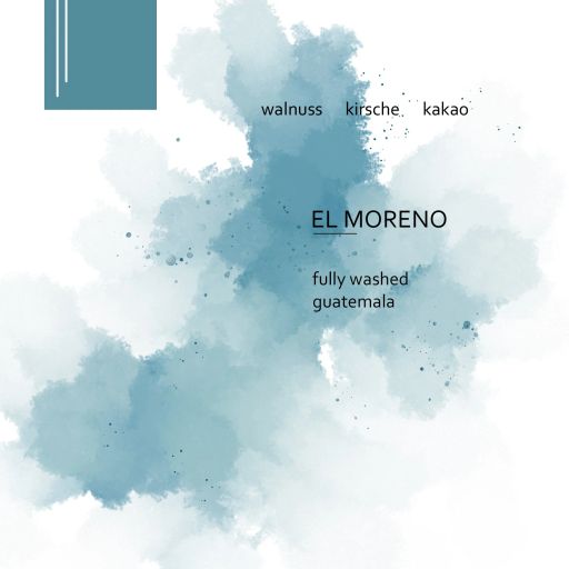 El Moreno – Guatemala – Fully Washed