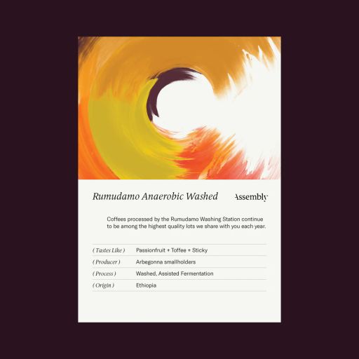 Ethiopia - Rumudamo Anaerobic Washed