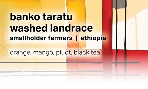 Banko Taratu Smallholder Farmers Washed Landrace