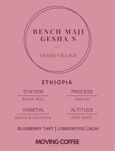 WS3 - Gesha Village Bench Maji Gesha N