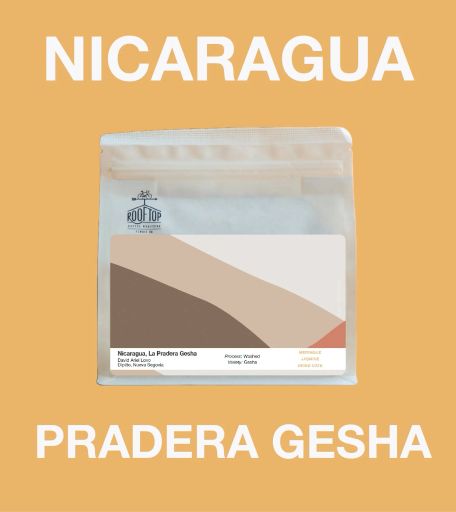Nicaragua, Finca Pradera Geisha