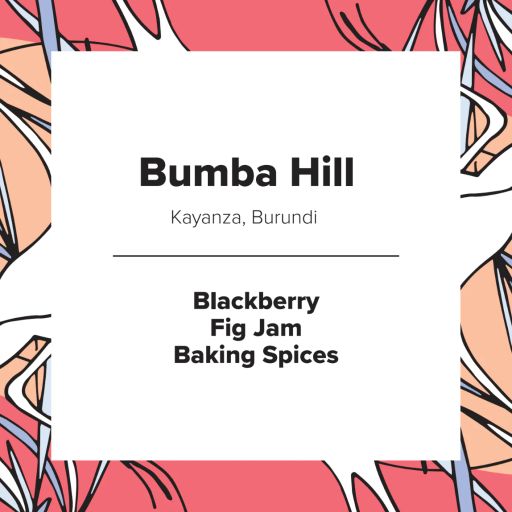 Bumba Hill | Burundi | Honey
