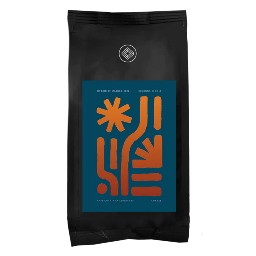 CGLE Hybrid 17 Washed '22