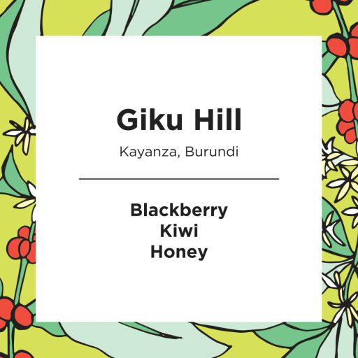 Giku | Kayanza | Burundi