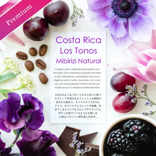 Los Tonos Mibirizi Natural [Vioret & Grape]