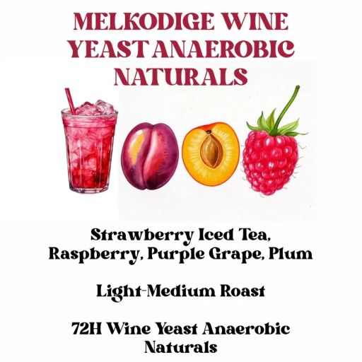 Melkodige Wine Yeast Anaerobic Naturals (SCA 88+)