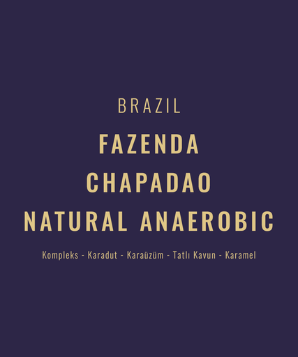Brazil – Fazenda Chapadao Natural Anaerobic Topazio