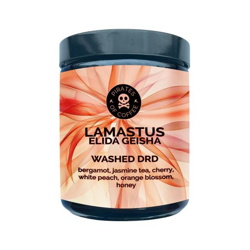 LAMASTUS ELIDA GEISHA: Panama Washed DRD