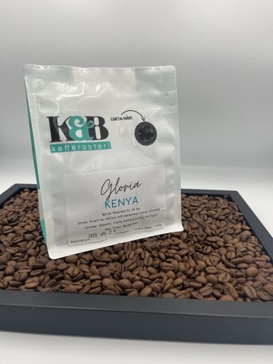 Kenya - Gloria SL28 AA ljus