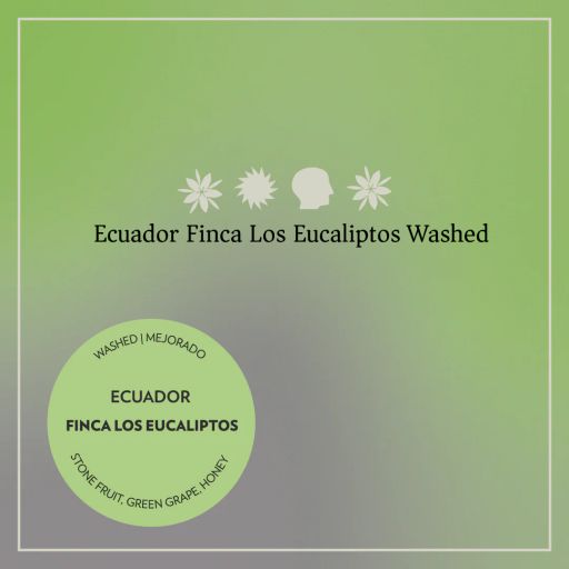 Ecuador - Finca Los Eucaliptos - Washed Mejorado