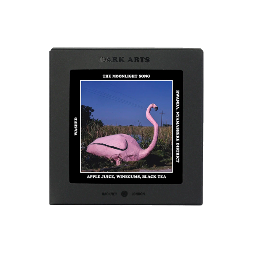 The Moonlight Song - Rwanda