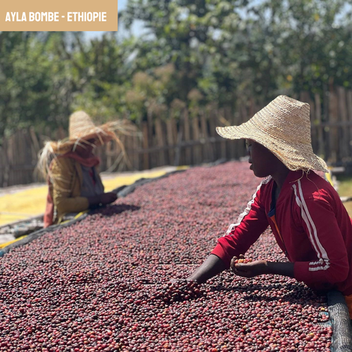 Ayla Bombe | Ethiopie