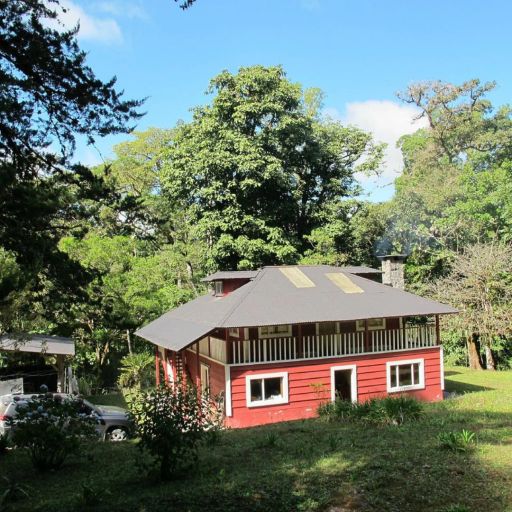 Panama - Finca Hartmann - Marago Natural