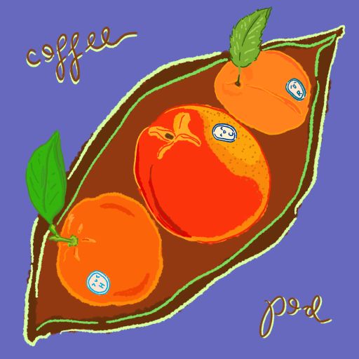 Typica - Anaerobic Natural - Hacienda La Papaya