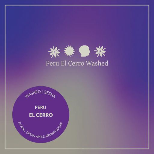 Peru - El Cerro - Washed Geisha