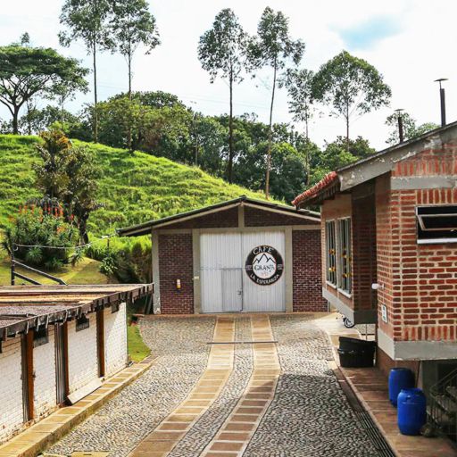 Tres Dragones Potosi