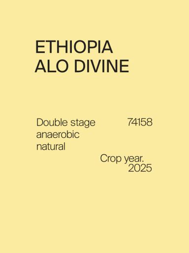 Ethiopia Alo Divine 74158 Double Stage Anaerobic Natural