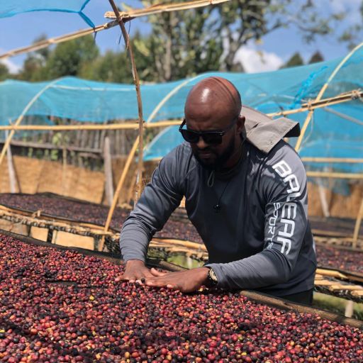 Ethiopia - Lulo Coffee - Bella Hambela - Natural