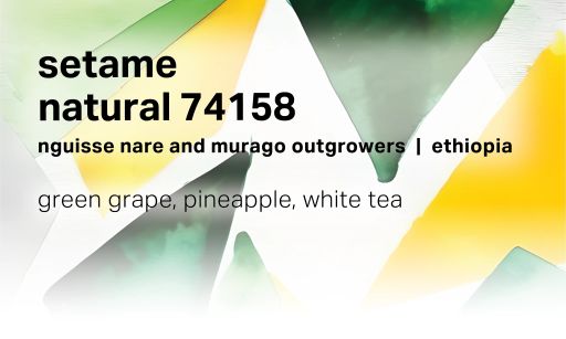 Setame Nguisse Nare and Murago Outgrowers - Natural 74158 Landrace
