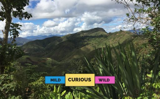 COLOMBIA | La Mariposa | Caturra & Castillo | Washed