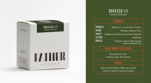 Dear Maria Exclusive: Bokasso #3, Sidama, Ethiopia