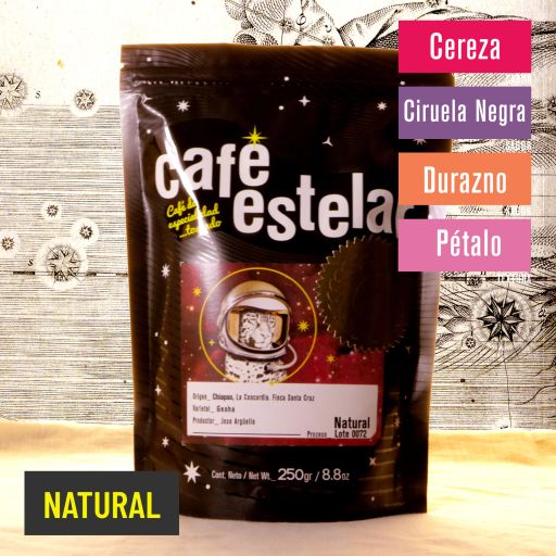 Café Chiapas - Finca Santa Cruz - Gesha - Natural - 0072