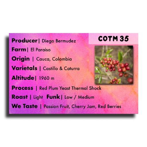 COTM 35 (Diego Bermudez | Red Plum Yeast Thermal Shock)