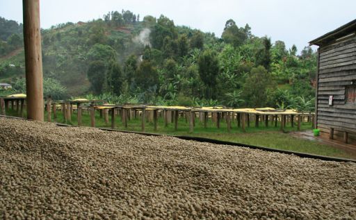 Karambi Rwanda