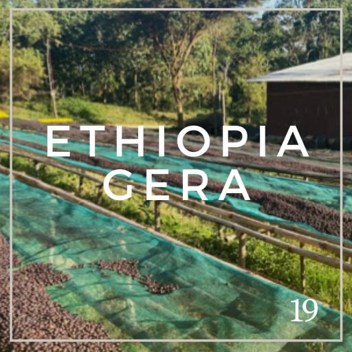 Ethiopia Gera