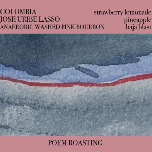 Colombia Jose Uribe Lasso Anaerobic Washed Pink Bourbon