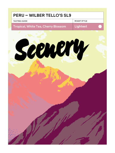 Peru - Wilber Tello's SL9