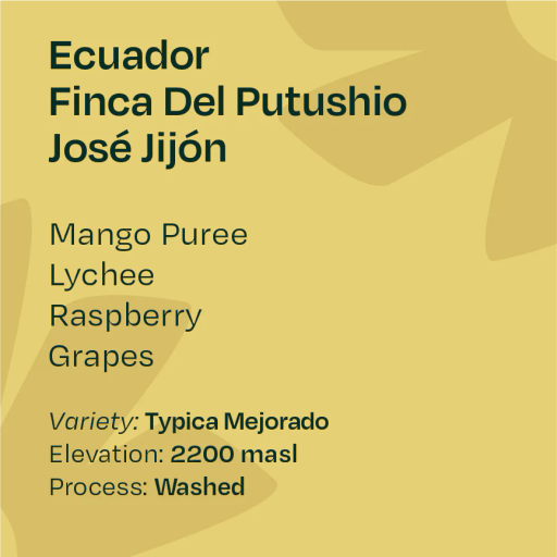 Ecuador Finca Del Putushio Typica Mejorado