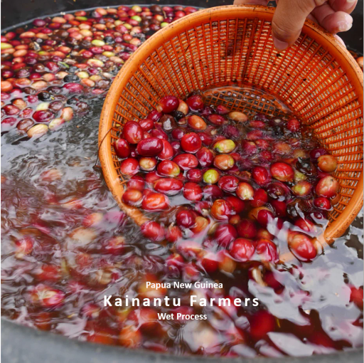 Papua New Guinea | Kainantu Farmers | Wet Process