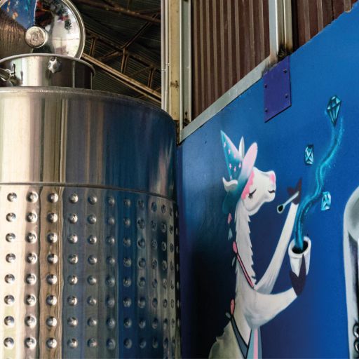 Bolivia - La Llama - Java 72hrs Anaerobic Washed