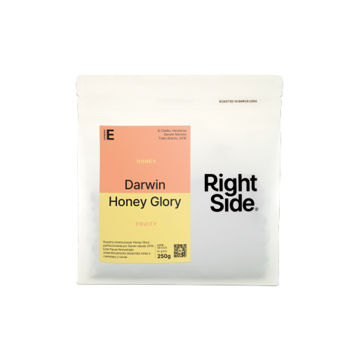 Darwin Honey Glory