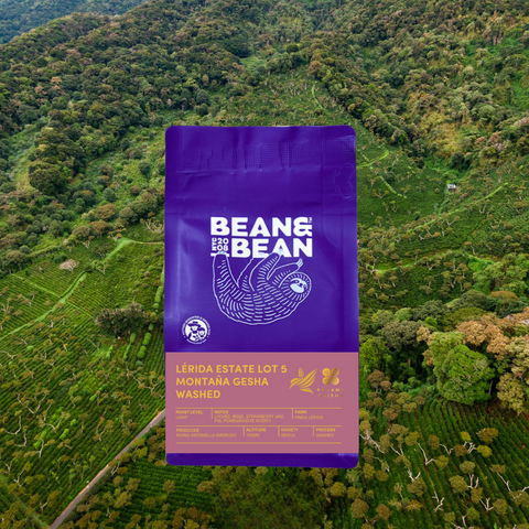 Panama Lérida Estate Lot 5 Montaña Gesha Washed