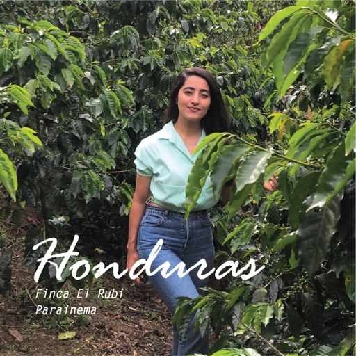 Honduras 2025 COE #1 Santa Barbara Fincal El Rubi Parainema Washed