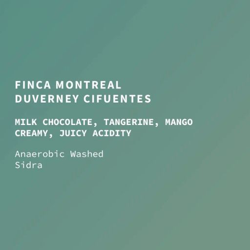Colombia Finca Montreal Washed Sidra