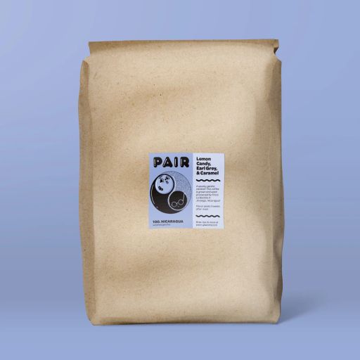 #100 Wash-Processed Geisha Coffee Beans from Nicaragua