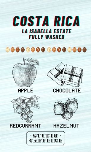 Costa Rica La Isabella Fully Washed