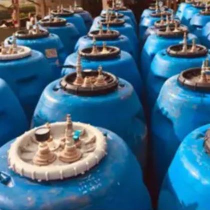 Brazil Fazenda Guariroba "Citrus"