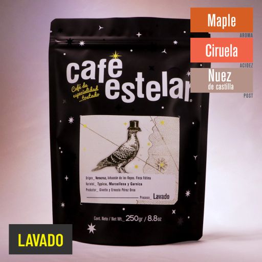 Café Veracruz - Fátima - Typica, Marsellesa y Garnica - Lavado