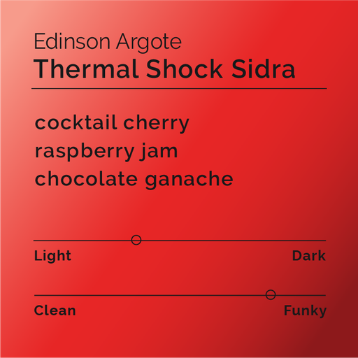 Edinson Argote Thermal Shock Sidra