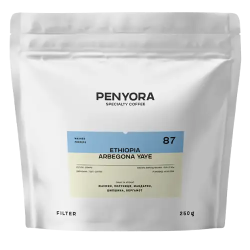 ETHIOPIA ARBEGONA YAYE FILTER