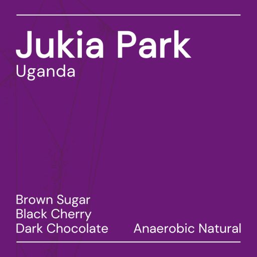 Jukia Park