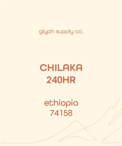 Chilaka 240hr Ethiopia